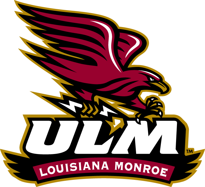 Louisiana-Monroe Warhawks 2006-Pres Alternate Logo v2 iron on transfers for fabric